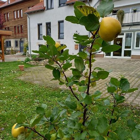 Ferienwohnung Antik Гота Экстерьер фото