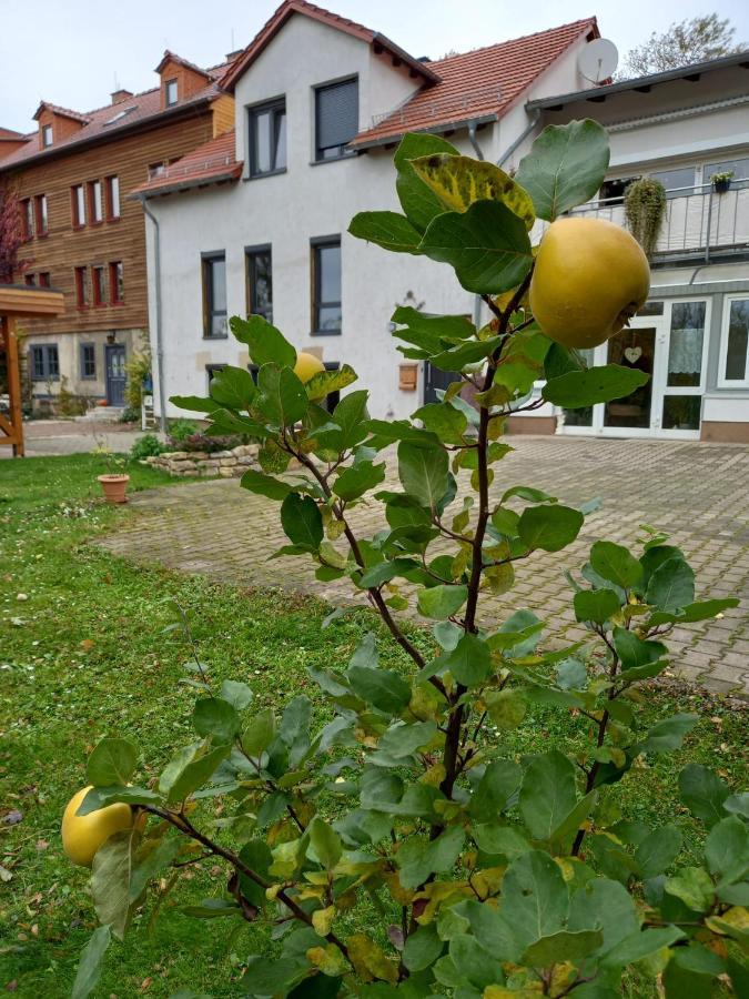 Ferienwohnung Antik Гота Экстерьер фото